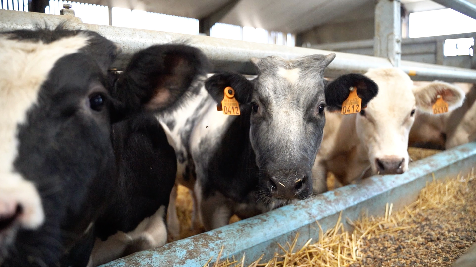 Capture-decran-16-web