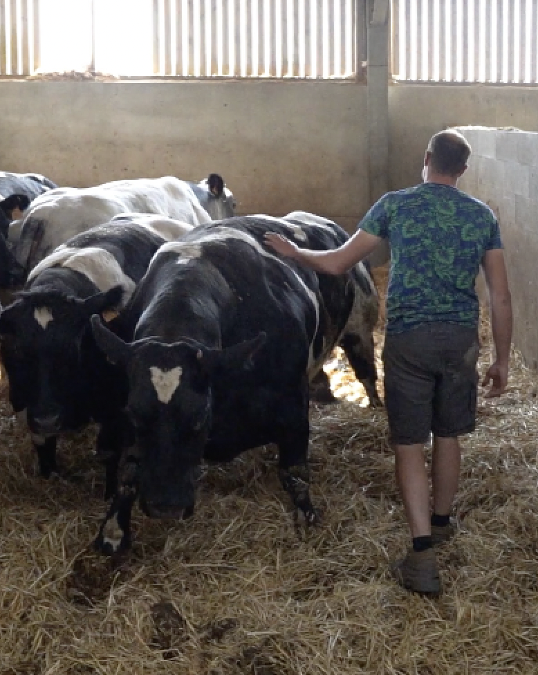 capture-decran-2025-11-05-a-12-24-22