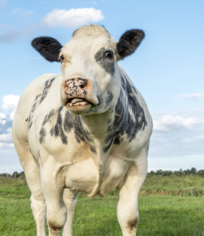 Capture-decran-2025-11-07-a-09.32.08