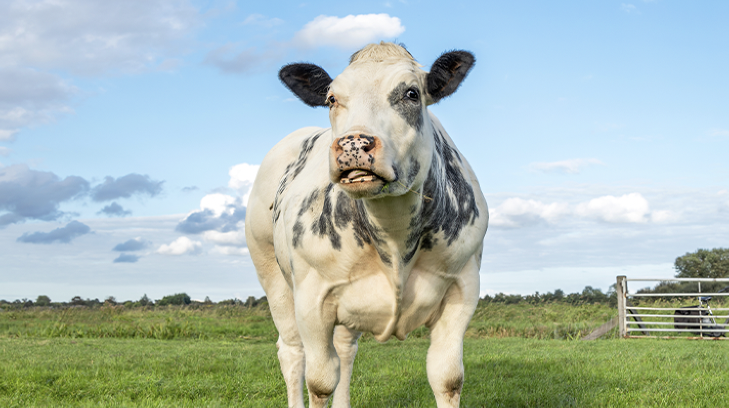 capture-decran-2025-11-07-a-09-32-08-2