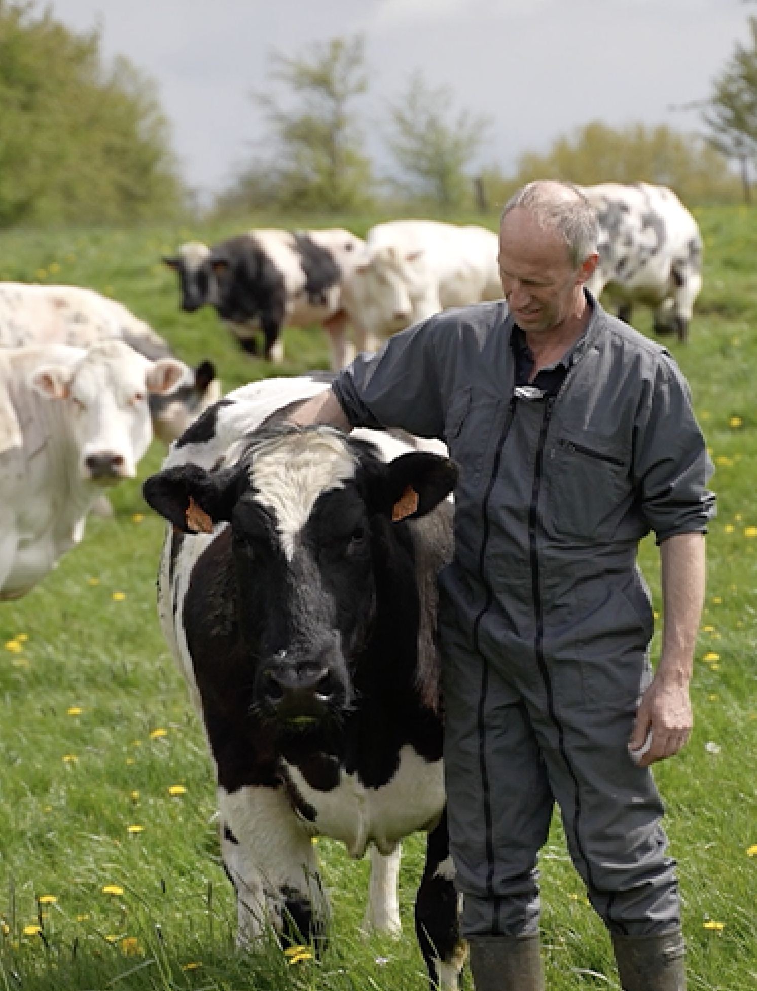 Capture-decran-2025-11-07-a-10.53.22