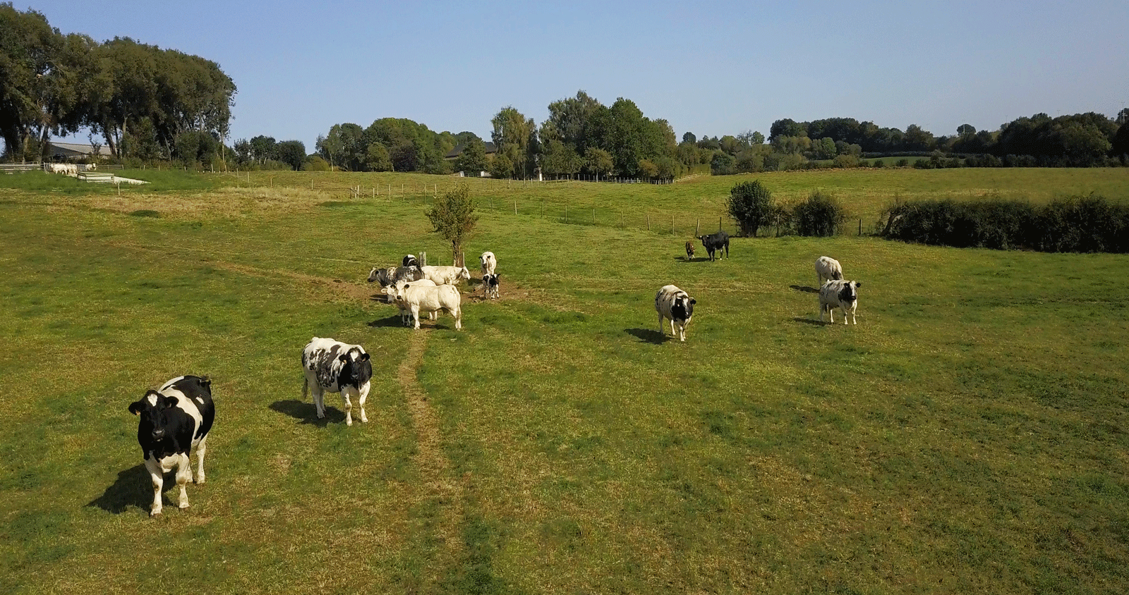 DJI_0086.MP4.00_00_13_12.Still001-copie