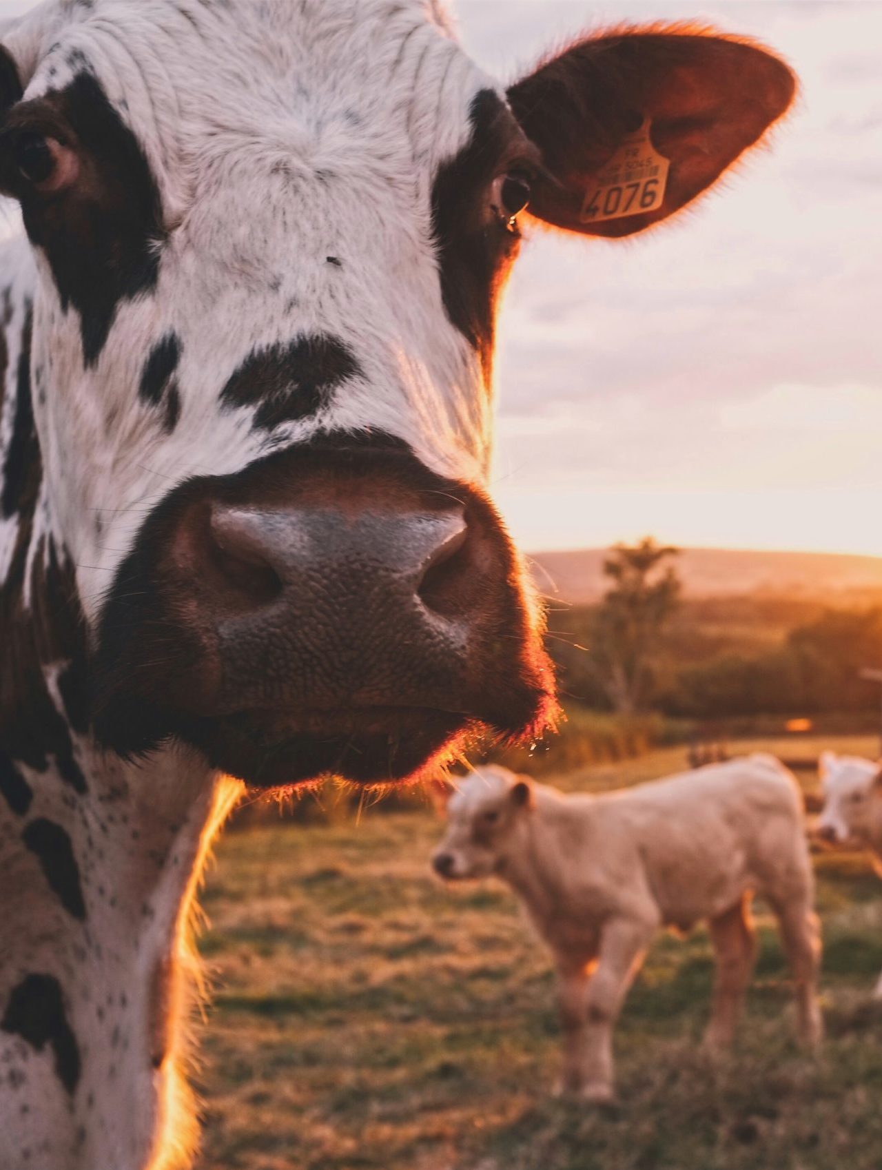 stijn-te-strake-UdhpcfImQ9Y-unsplash